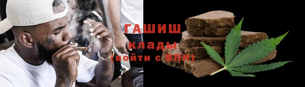 индика Арсеньев