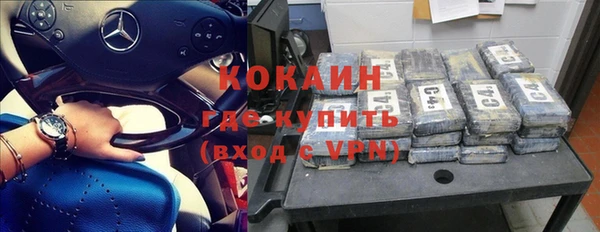 индика Арсеньев