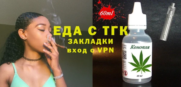 индика Арсеньев