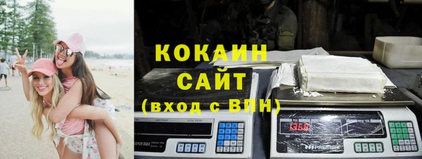 индика Арсеньев