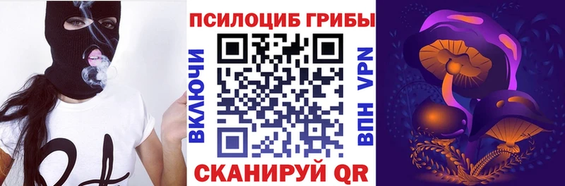 Псилоцибиновые грибы MAGIC MUSHROOMS Новоалександровск