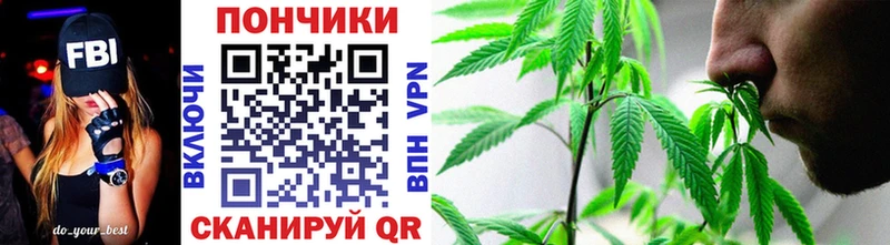 Конопля SATIVA & INDICA  сколько стоит  блэк спрут как войти  Новоалександровск 